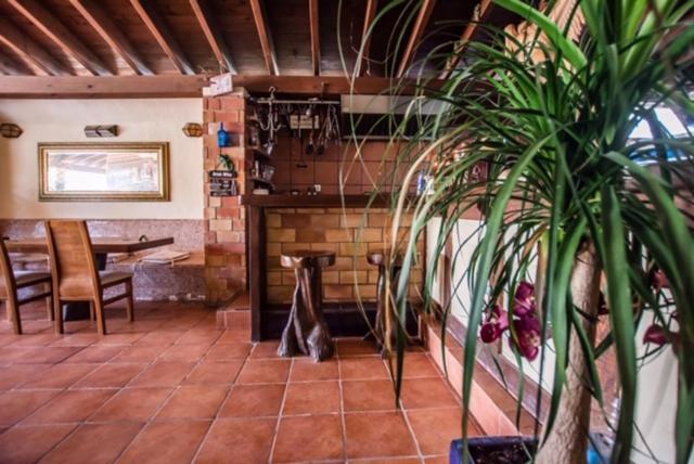 El Cortijo Escana Es Cana 외부 사진